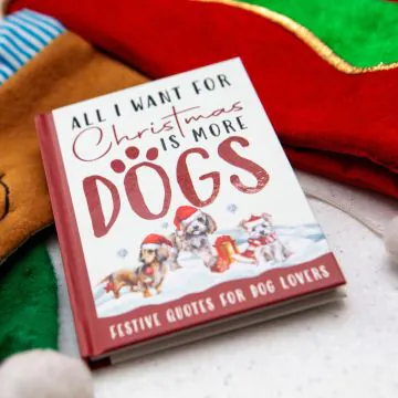 All I Want For Christmas Is More Dogs 