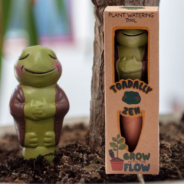 Grow with the Flow Toad