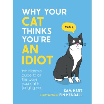 Why Your Cat Thinks You're an Idiot