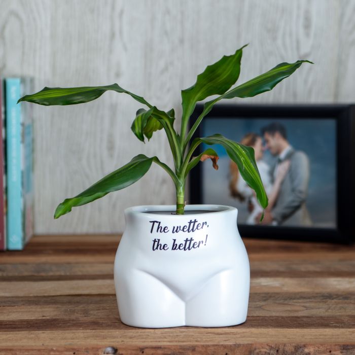 Put Some Plants On - The Wetter, The Better main product photo