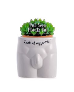 Look At My Prick - Put Some Plants On! Plant Pots