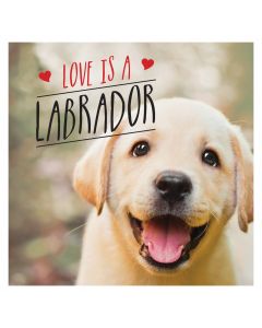 Love Is A Labrador